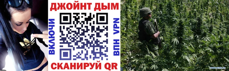 Каннабис план  наркотики  Тырныауз 